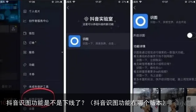 抖音识图功能是不是下线了？（抖音识图功能在哪个版本）