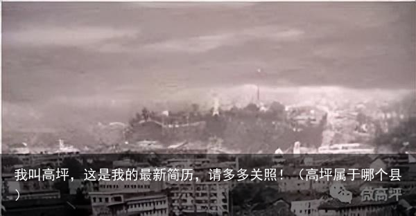 我叫高坪，这是我的最新简历，请多多关照！（高坪属于哪个县）
