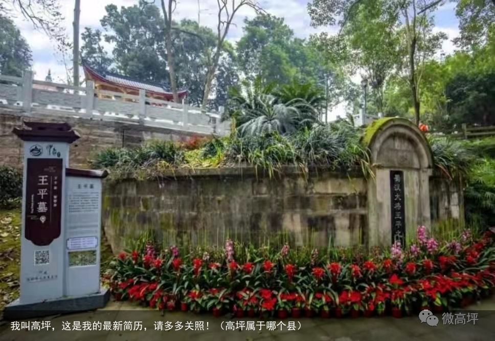 我叫高坪，这是我的最新简历，请多多关照！（高坪属于哪个县）