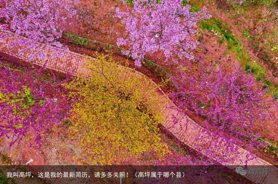 我叫高坪，这是我的最新简历，请多多关照！（高坪属于哪个县）