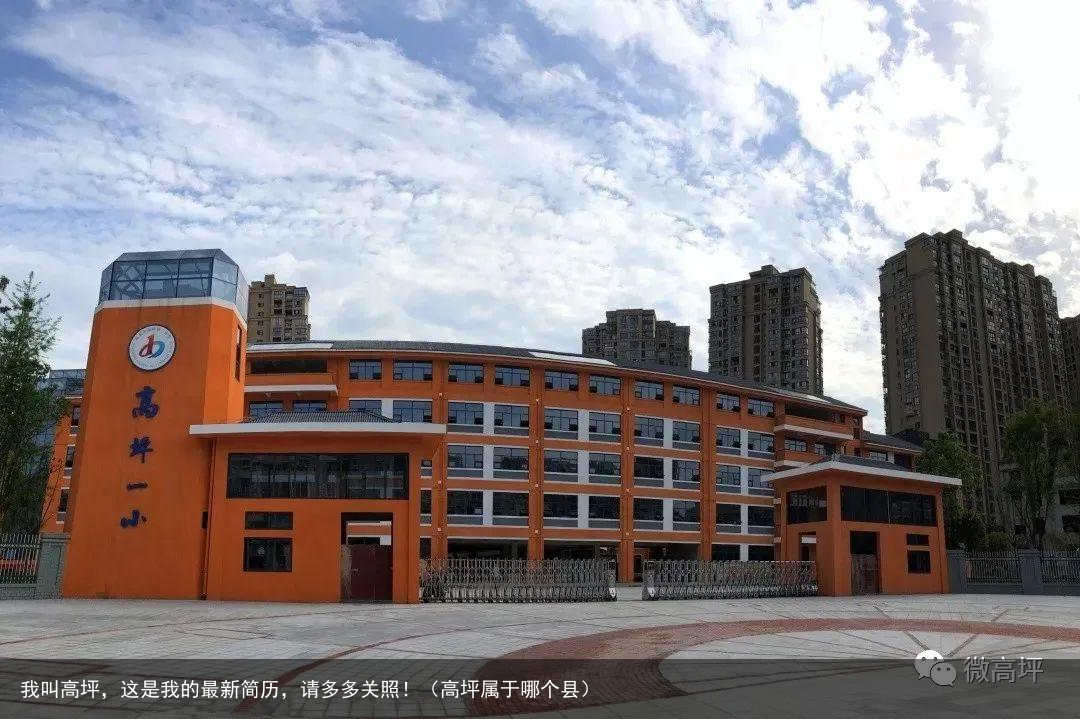 我叫高坪，这是我的最新简历，请多多关照！（高坪属于哪个县）
