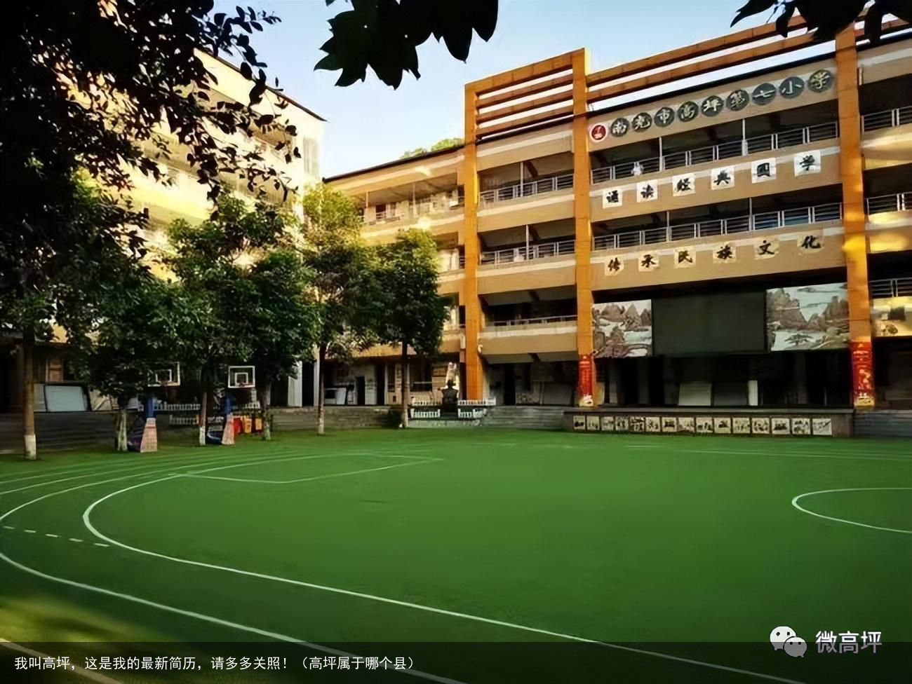 我叫高坪，这是我的最新简历，请多多关照！（高坪属于哪个县）