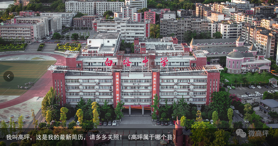 我叫高坪，这是我的最新简历，请多多关照！（高坪属于哪个县）