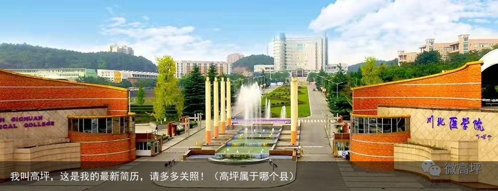 我叫高坪，这是我的最新简历，请多多关照！（高坪属于哪个县）