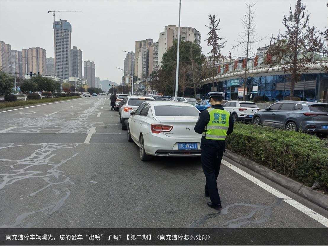 南充违停车辆曝光，您的爱车“出镜”了吗？【第二期】（南充违停怎么处罚）