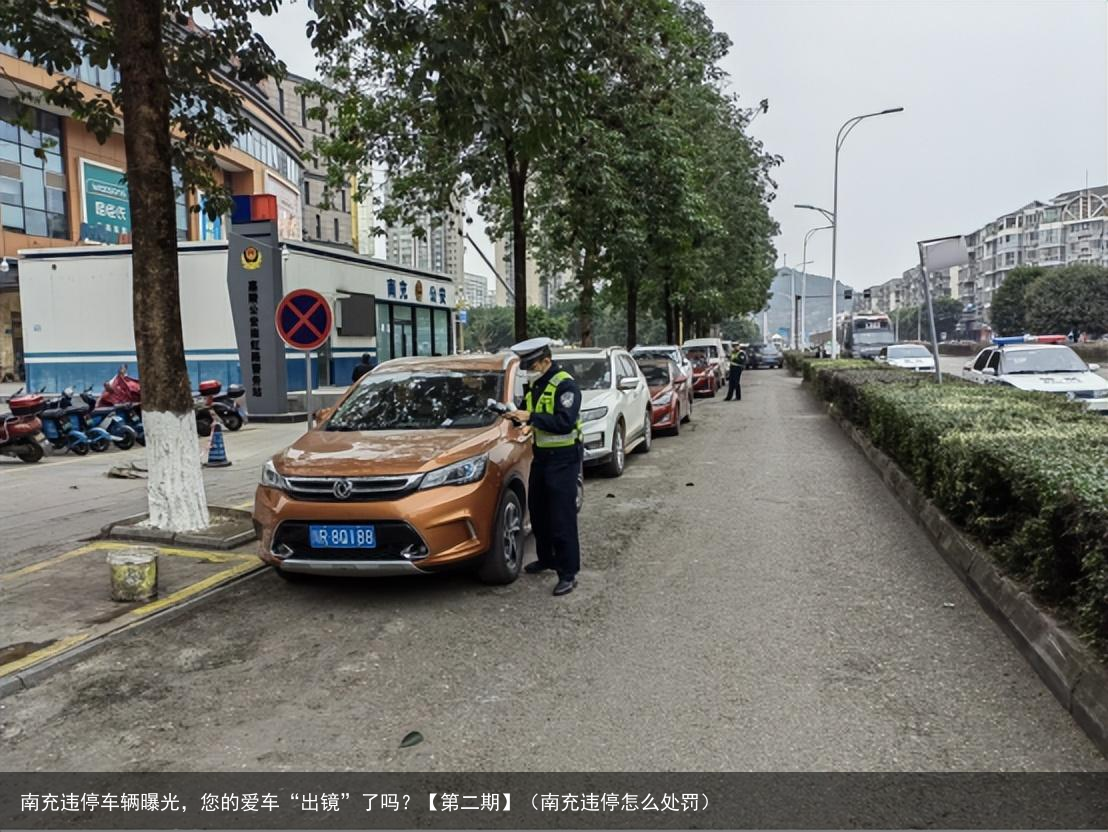 南充违停车辆曝光，您的爱车“出镜”了吗？【第二期】（南充违停怎么处罚）