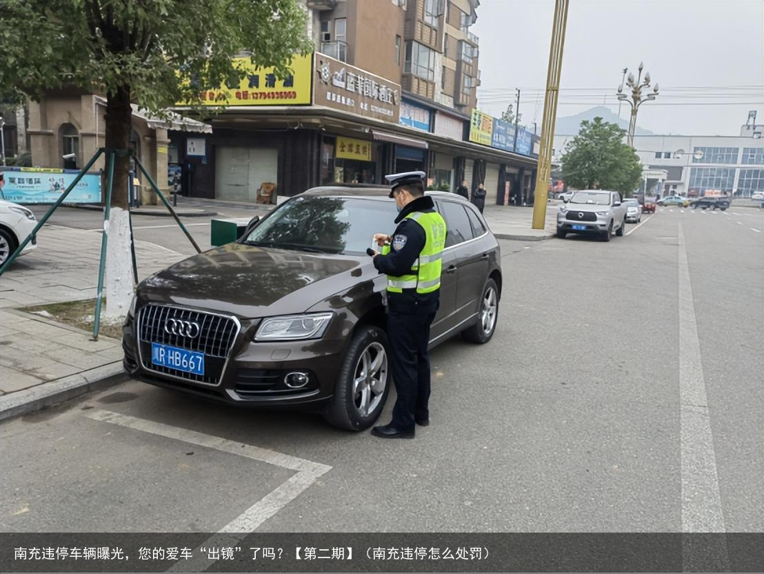 南充违停车辆曝光，您的爱车“出镜”了吗？【第二期】（南充违停怎么处罚）