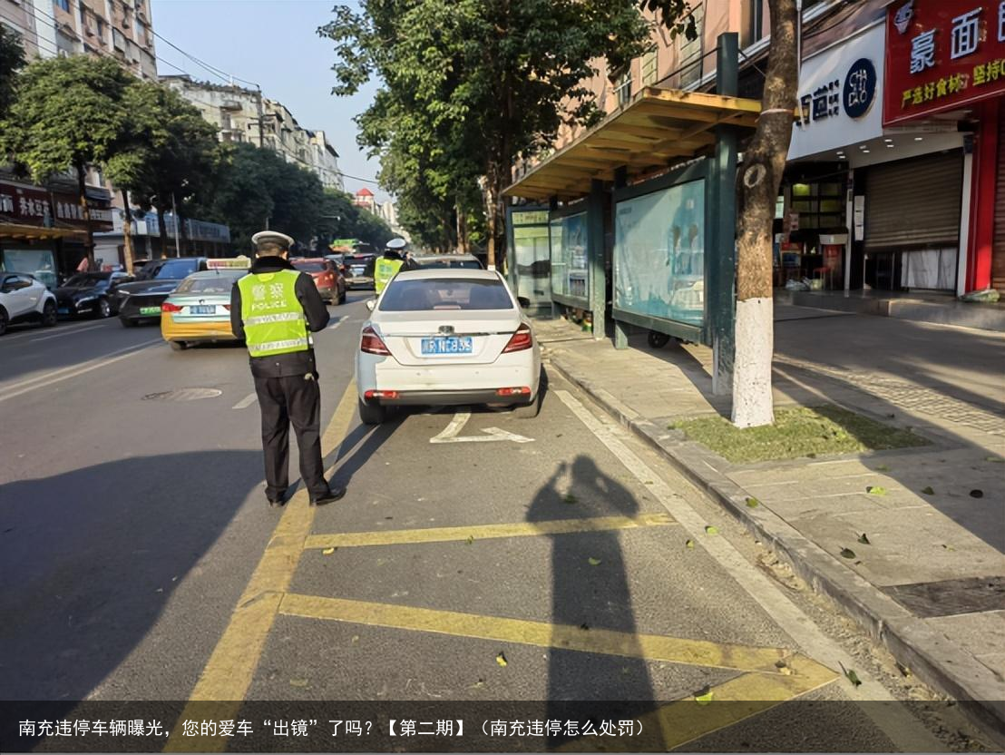 南充违停车辆曝光，您的爱车“出镜”了吗？【第二期】（南充违停怎么处罚）