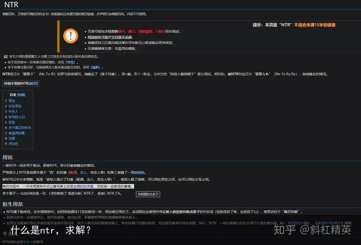 什么是ntr，求解？