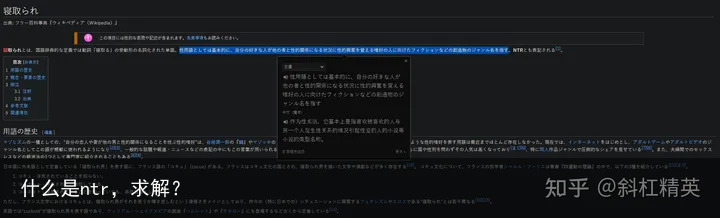 什么是ntr，求解？