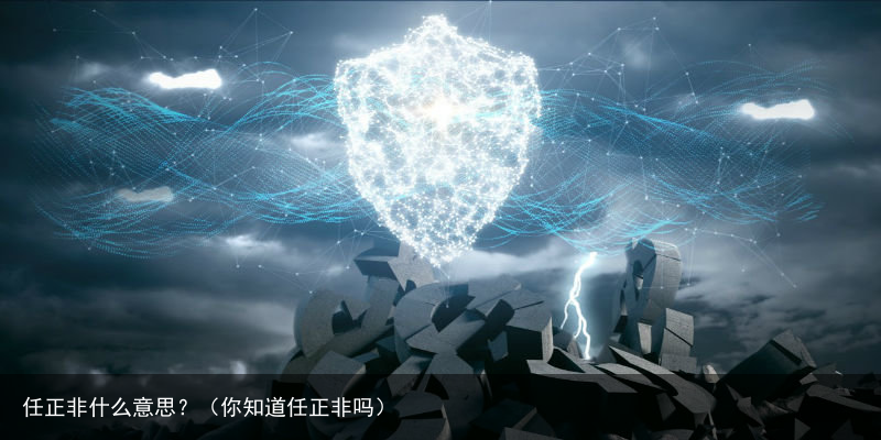 任正非什么意思？（你知道任正非吗）