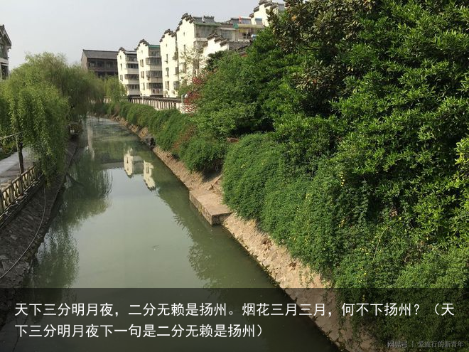 天下三分明月夜，二分无赖是扬州。烟花三月三月，何不下扬州？（天下三分明月夜下一句是二分无赖是扬州）