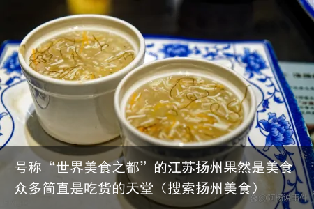 号称“世界美食之都”的江苏扬州果然是美食众多简直是吃货的天堂（搜索扬州美食）