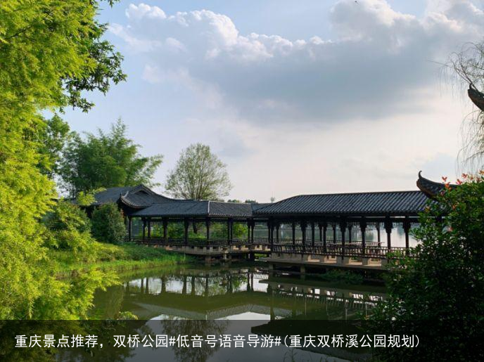 重庆景点推荐，双桥公园#低音号语音导游#(重庆双桥溪公园规划)