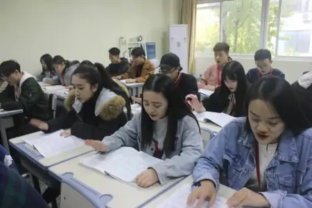 济南艺考文化课培训：文化课怎么学(济南艺考文化课培训哪个好)