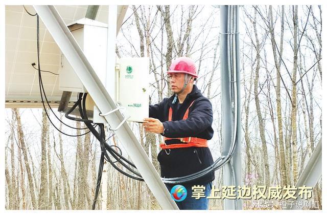 聆听劳模故事｜魏茂林：奉献十余载 守望山林绿(全国劳模魏存成简历介绍)