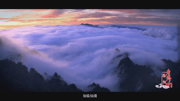 【攻略】老君山观云海攻略 再也不怕错过美景啦(老君山观海避暑节2020)