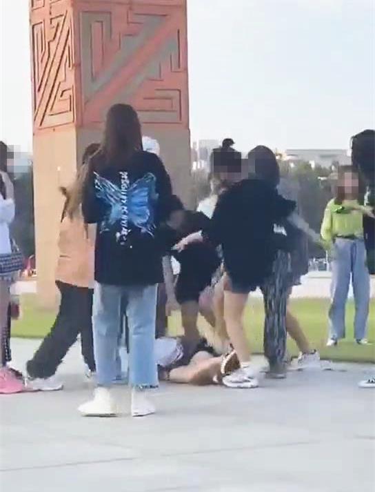 邢台沙河一15岁女孩在公园内被多人殴打 警方发布通报：系网聊发生口角，已介入调查（邢台沙河市公园）