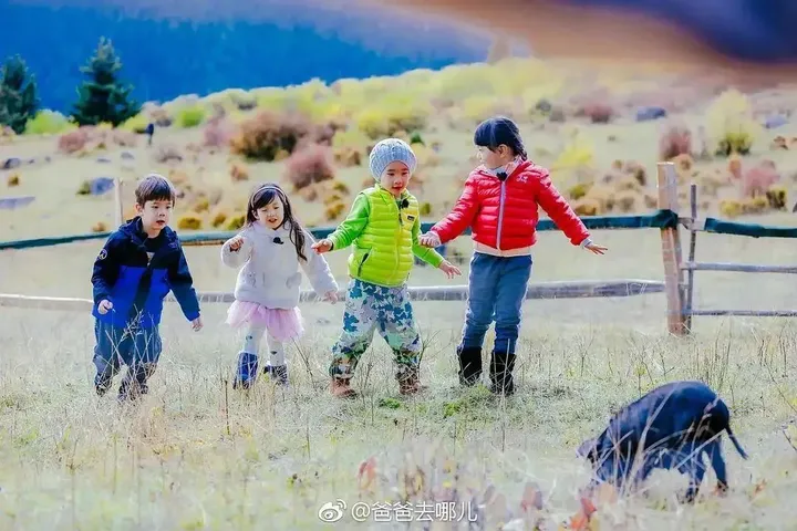 7天涨粉1000万的刘畊宏，到底是谁？成功背后的3个关键点。(刘畊宏老婆多高多重)