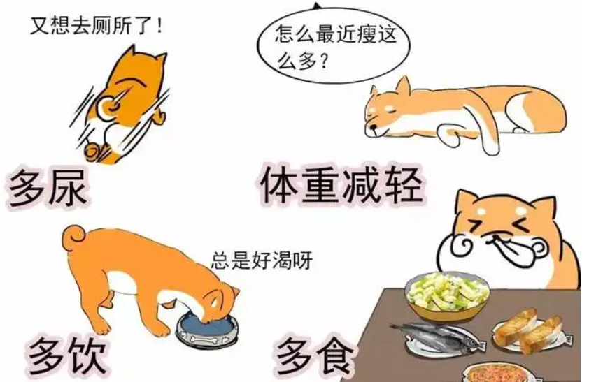 能吃是福？达咩× 警惕这些疾病(能吃是福下一句搞笑)
