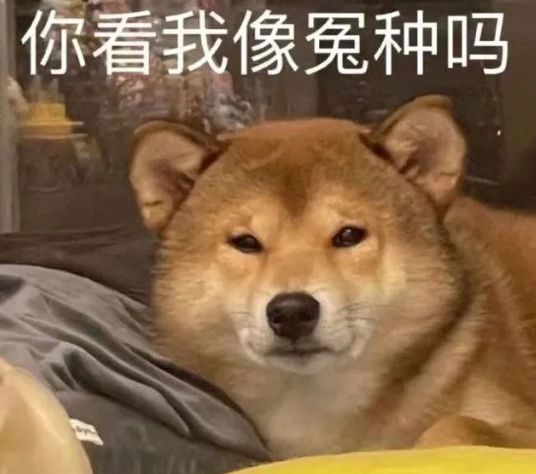 2022“十大流行语”出炉，栓Q老六成学生口头禅，家长表示有点懵(十大流行语2020)