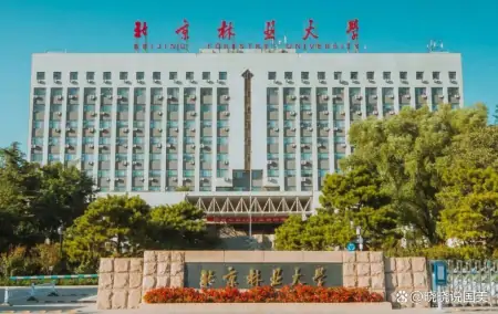 211｜2023年北京林业大学美术类本科招生分析，全国招收210人（北京林业大学美术生难考吗）