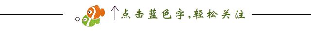 垃圾焚烧二噁英在线检测有标可依（垃圾焚烧发电二恶英排放标准）