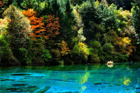 求一个人旅行九寨沟攻略？要准备多少钱？带什么物品？时间怎么掌控？途中需要注意哪些事项？越完善详细越好？（九寨沟一日旅游攻略自助游）