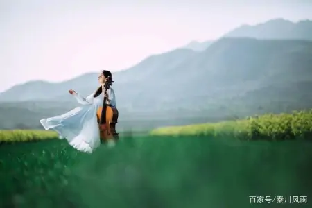 人到中年，再读《将进酒》，才顿悟人生就是渡劫，自渡者天渡！(将进酒渡约)