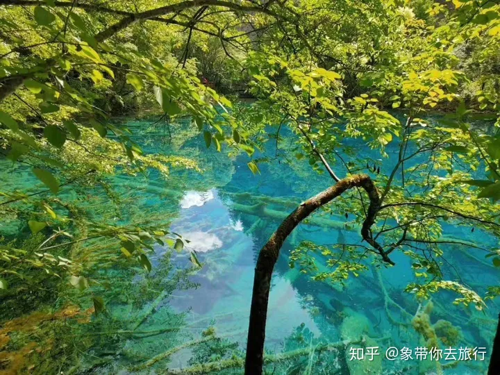 九寨沟自由行需要多少预算?（九寨沟需要玩几个小时时间）