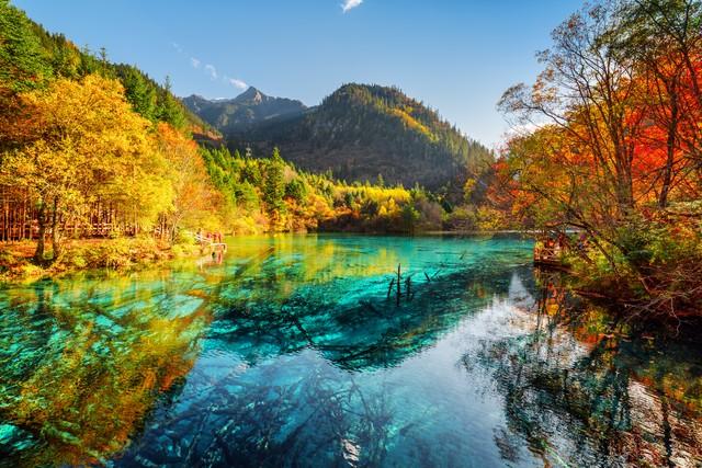 九寨沟旅游大概多少钱？九寨沟旅游攻略，必备！建议收藏（九寨沟景区门票多少钱）