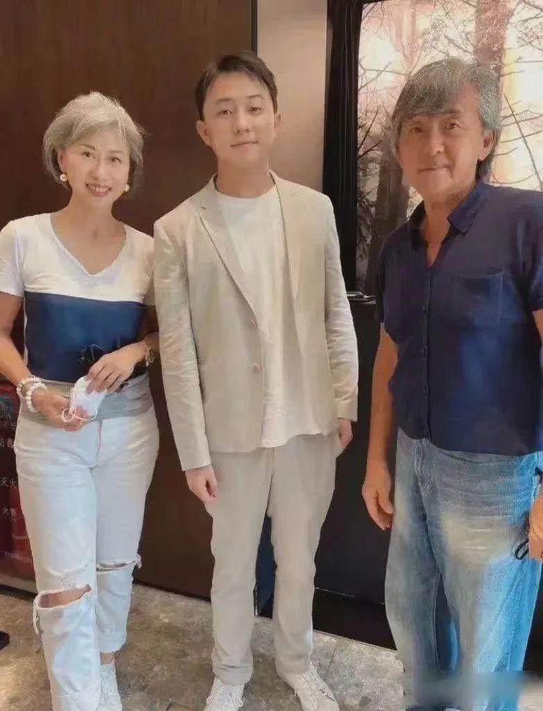 都是白发苍苍，林子祥十足老爷爷，叶倩文容貌和状态比实际年龄小(叶倩文第一任丈夫)