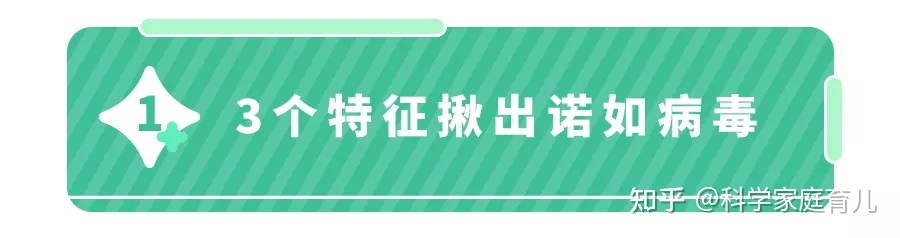 @全体家长，诺如病毒爆发！娃有这3个症状，不是普通拉肚子！(诺如病毒会不会传染)