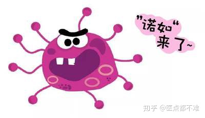 诺如病毒高发季，快来看看怎么对付它！(诺如病毒怎么解决)