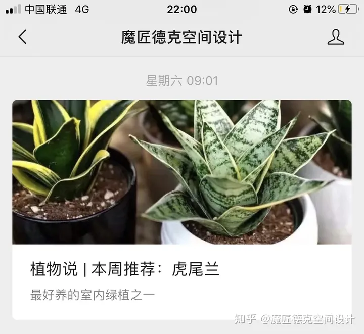 虎尾兰养殖的注意事项是什么？