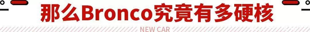 福特SUV家族鼻祖？越野秒杀坦克300 这新车即将国产！41岁结婚生子，44岁与田亮闹离婚，被前夫痛骂同性恋的她怎么样了