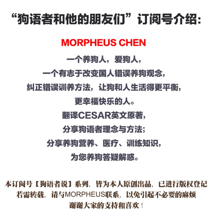【狗语者说-56-】忠犬八公，以及它背后的故事