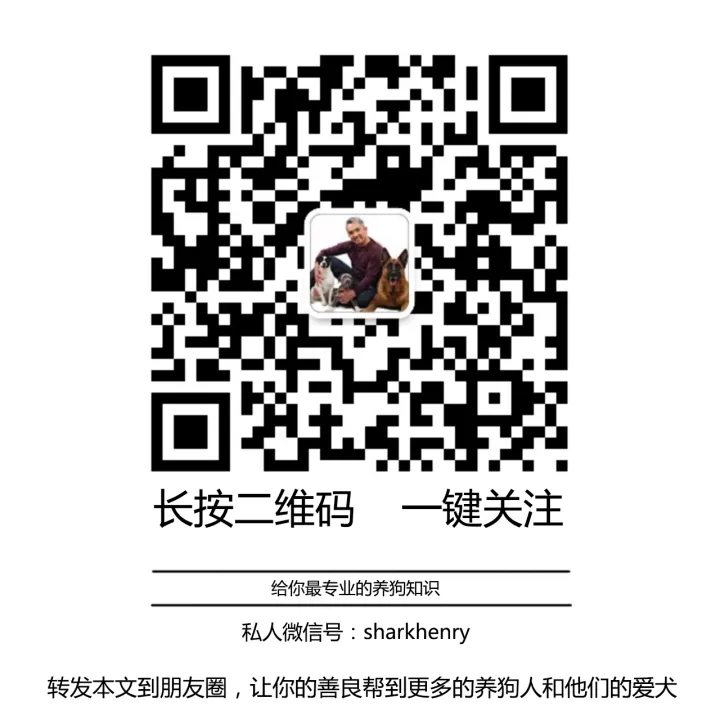 【狗语者说-56-】忠犬八公，以及它背后的故事