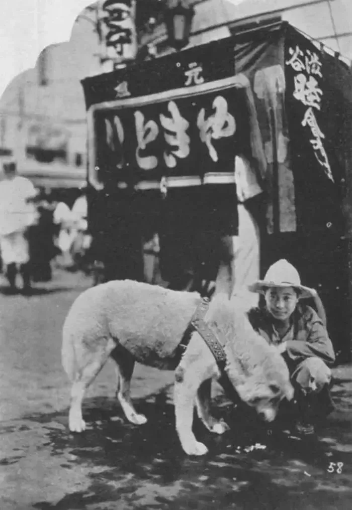 忠犬八公生前罕见照片：它曾笑得那么甜...