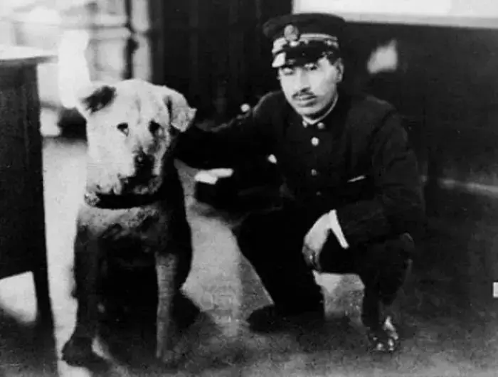 忠犬八公生前罕见照片：它曾笑得那么甜...