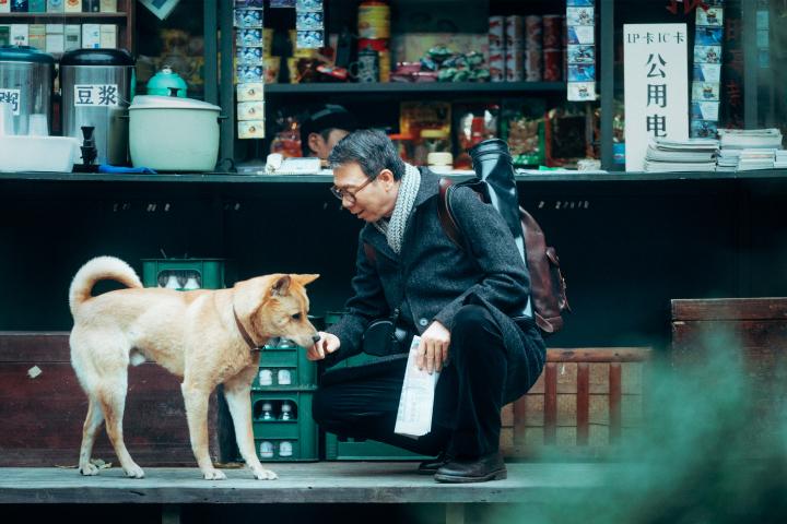 送票｜我想陪在你身边，《忠犬八公》超前观影