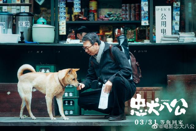 《忠犬八公》今日上映 再现狗狗感动全球数亿人的故事