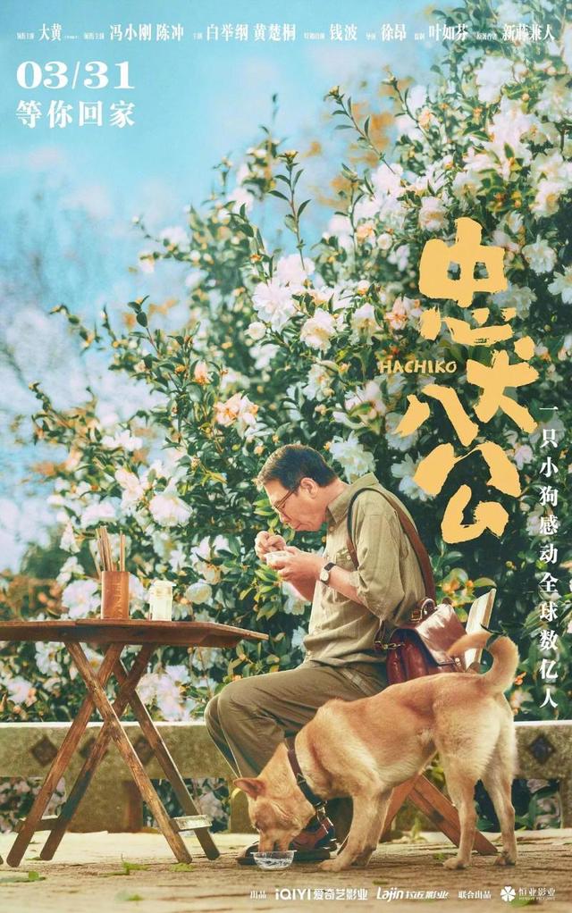 《忠犬八公》今日上映 再现狗狗感动全球数亿人的故事