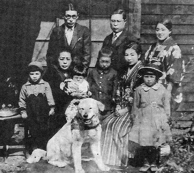 十多张罕见的忠犬八公生前等待主人的照片...至今依旧令人催泪。