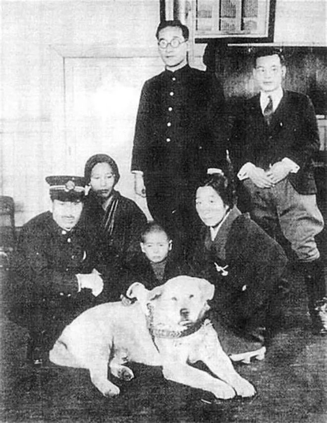 十多张罕见的忠犬八公生前等待主人的照片...至今依旧令人催泪。