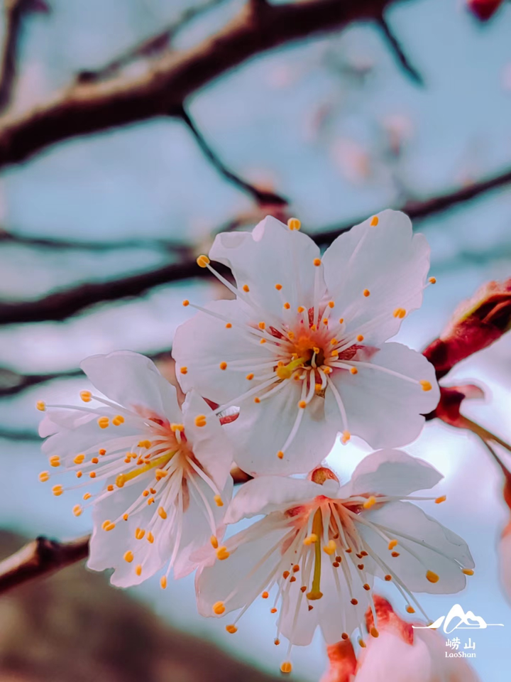 交换人生
