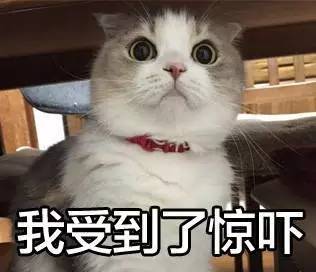 4.9-4.10上海灯具城灯博会，百家品牌重重优惠等你来！【文末有彩蛋】