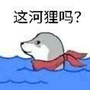 免费的图片素材哪里找？推荐你10个网站，从此设计素材不求人！