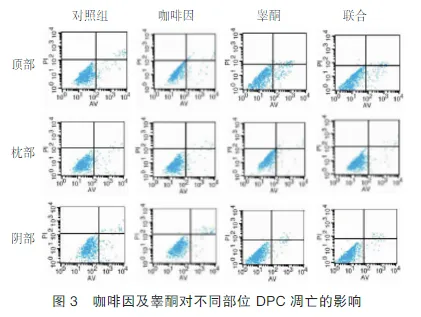 喝咖啡的好处与坏处有哪些？