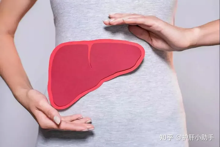 【科普】发现肝脏有结节，应该如何处理？